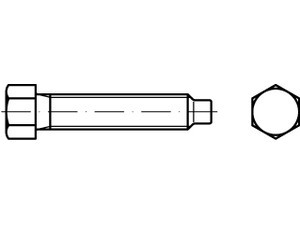 DIN 561 Sechskantschrauben mit Zapfen und kleinem Sechskant, mit Gewindeauslauf, 22 H (8.8)