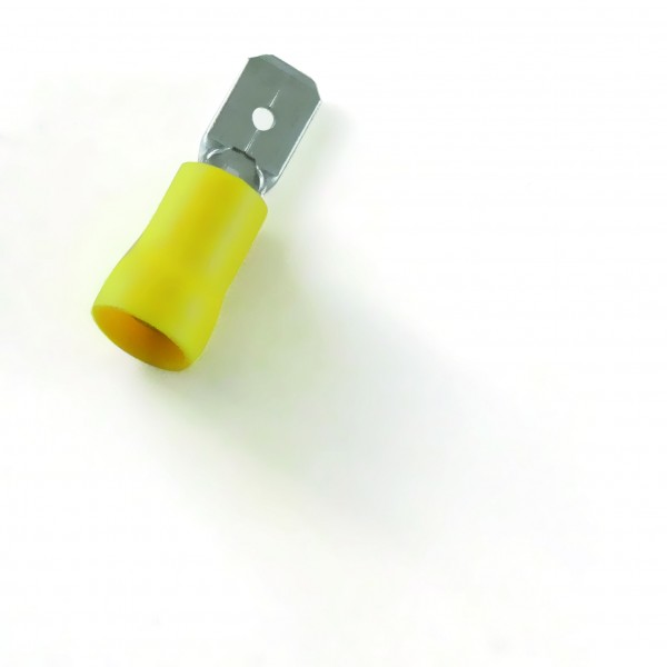 Flachsteckzunge isoliert, gelb