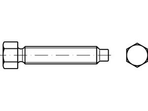 DIN 561 Sechskantschrauben mit Zapfen und kleinem Sechskant,mit Rille, 22 H (8.8)